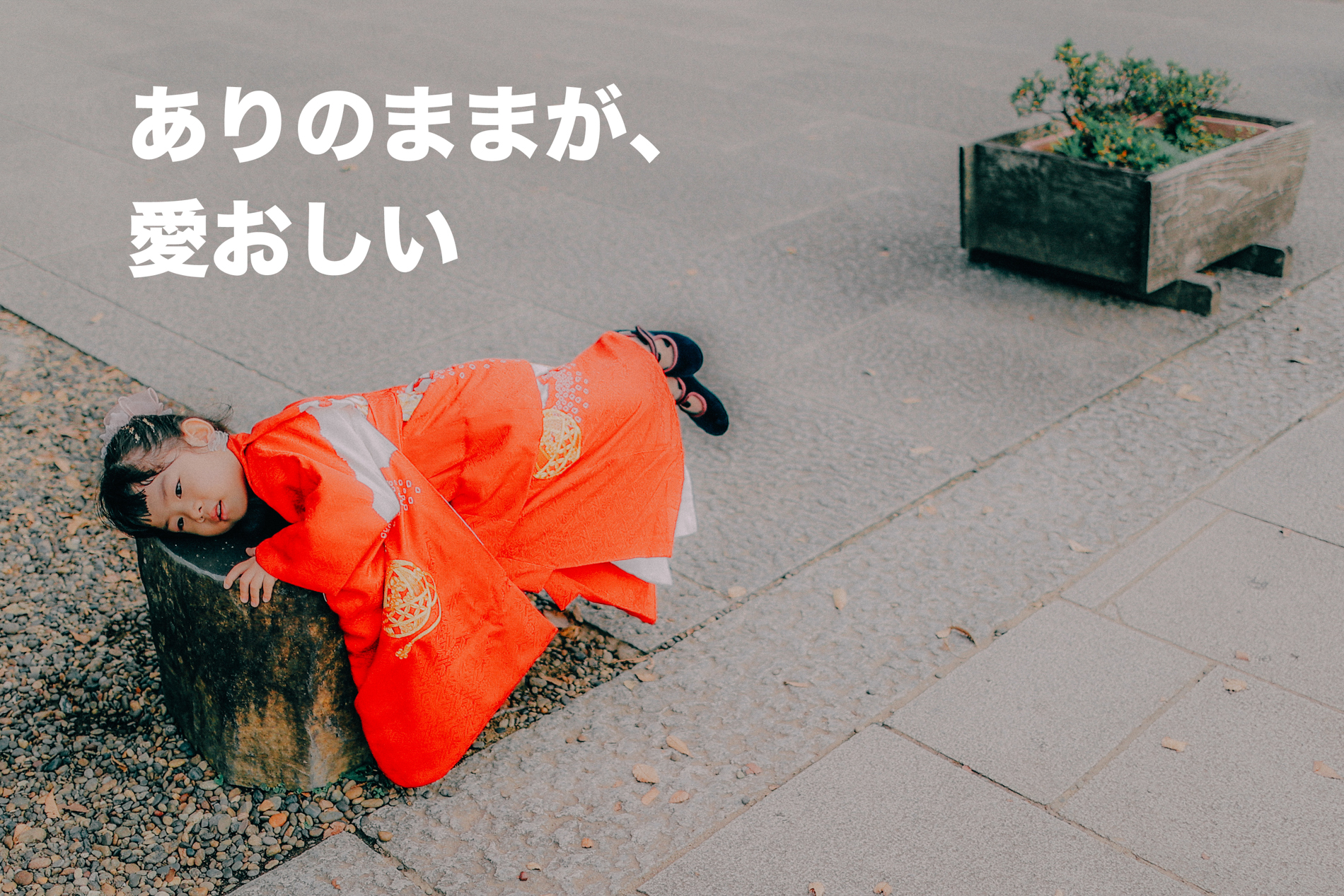 ありのまま、自然体が愛おしい